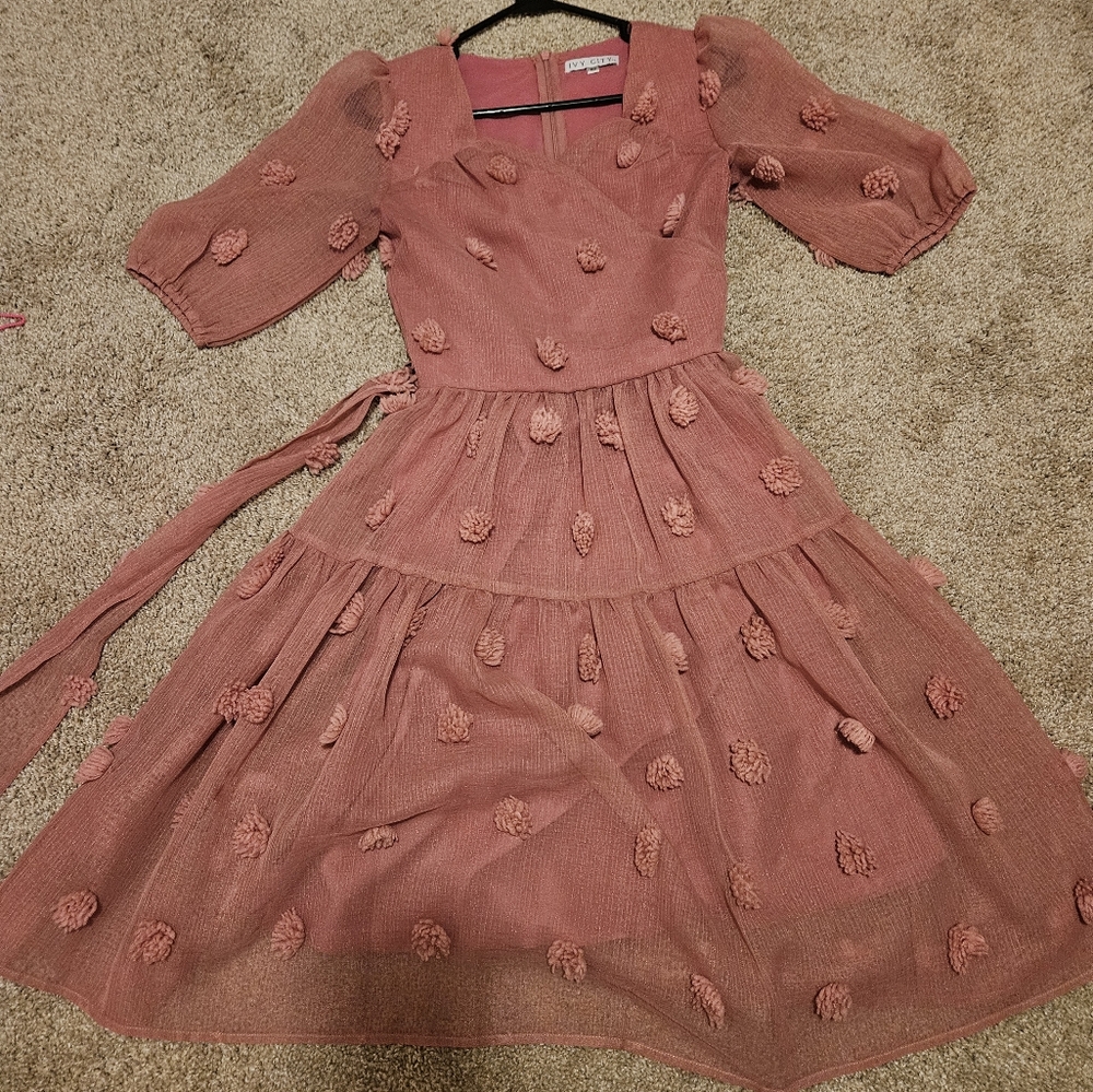 Ivy City first love pom pom blush pink fit and flare dress